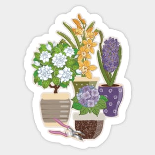 Flowering House Plants Sticker